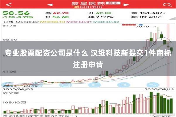 专业股票配资公司是什么 汉维科技新提交1件商标注册申请