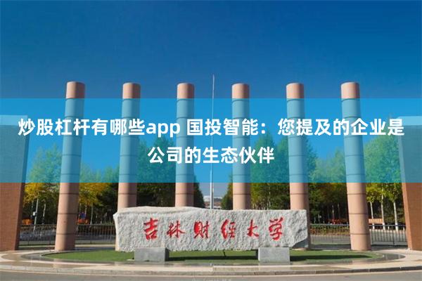 炒股杠杆有哪些app 国投智能：您提及的企业是公司的生态伙伴