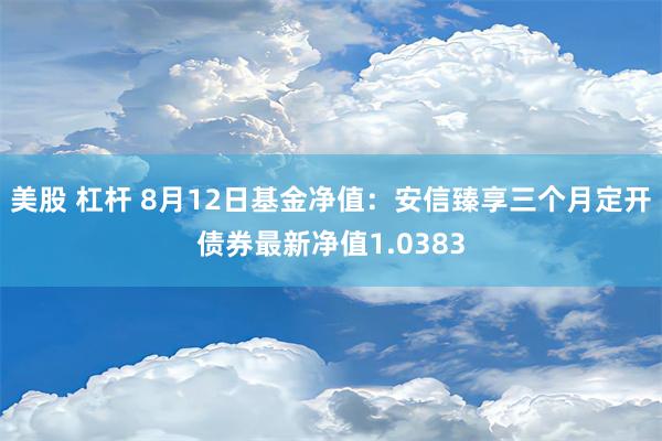 美股 杠杆 8月12日基金净值：安信臻享三个月定开债券最新净值1.0383