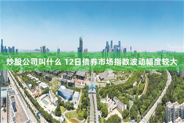 炒股公司叫什么 12日债券市场指数波动幅度较大