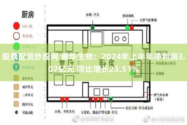 股票配资炒股网 康华生物：2024年上半年净利润3.07亿元 同比增长23.51%