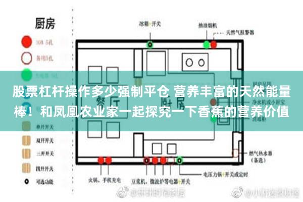 股票杠杆操作多少强制平仓 营养丰富的天然能量棒！和凤凰农业家一起探究一下香蕉的营养价值