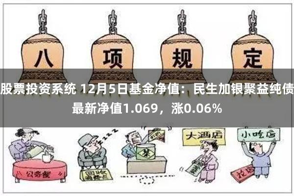 股票投资系统 12月5日基金净值：民生加银聚益纯债最新净值1.069，涨0.06%