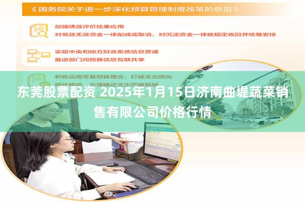 东莞股票配资 2025年1月15日济南曲堤蔬菜销售有限公司价格行情