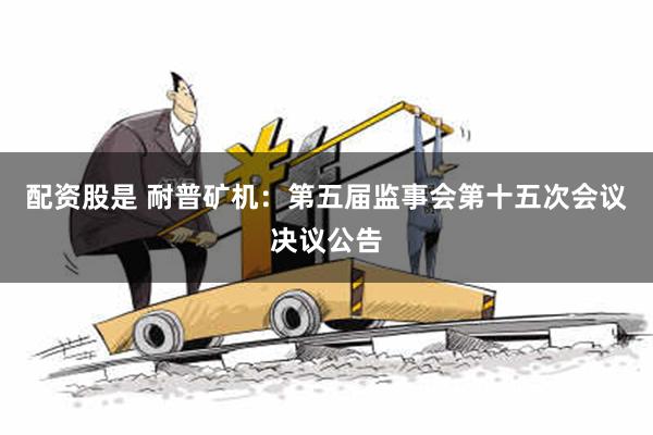 配资股是 耐普矿机：第五届监事会第十五次会议决议公告